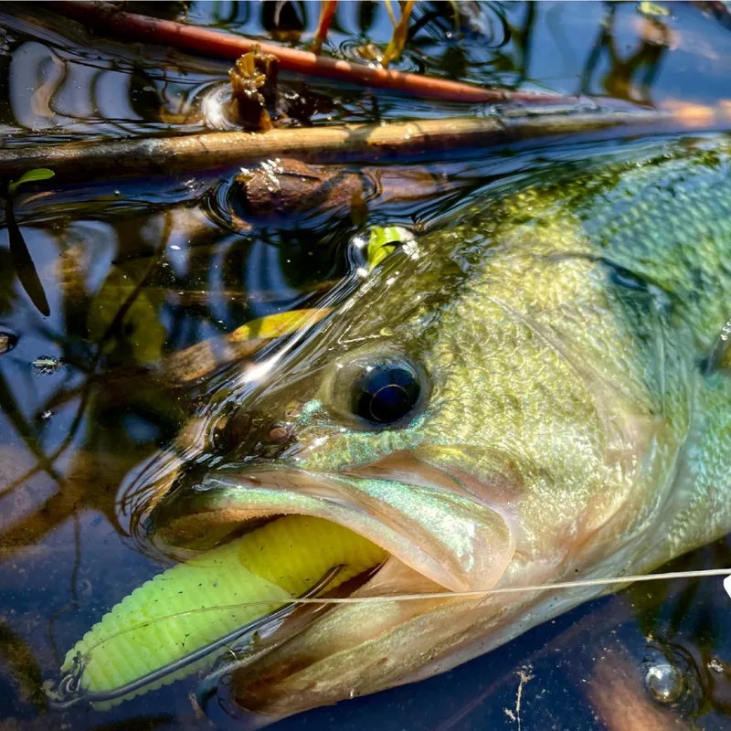 Haczyk Cast&Catch SCREW-LOCK W – Fishing Hook Weedless recenzja i cena