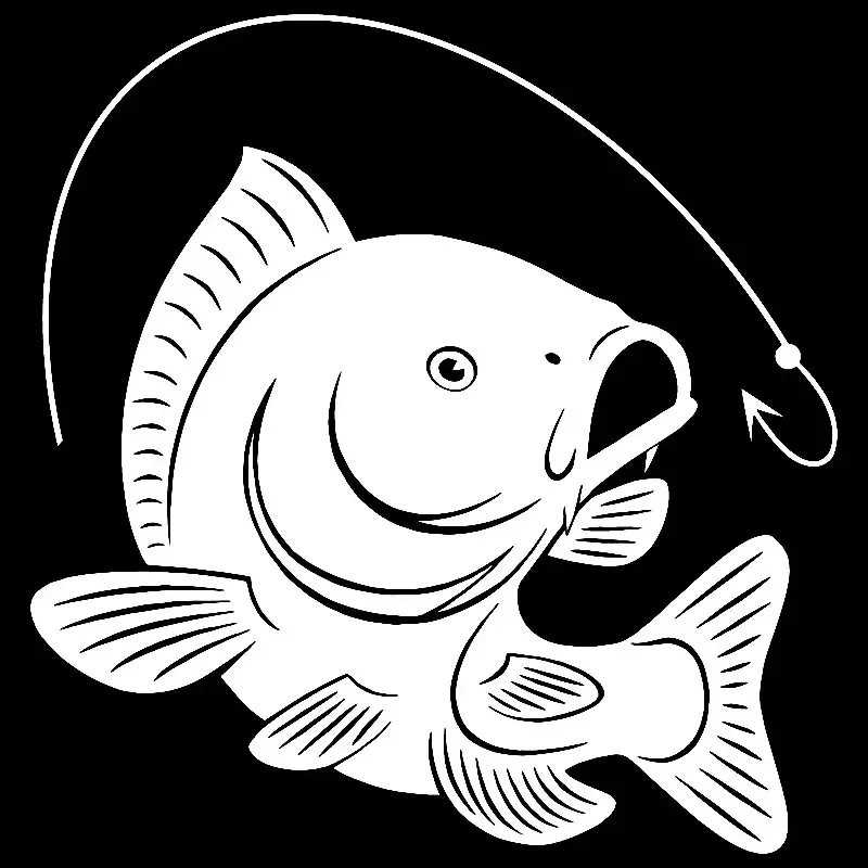 Haczyk na ryby karpiowe dekora – Fishing Hook recenzja i cena