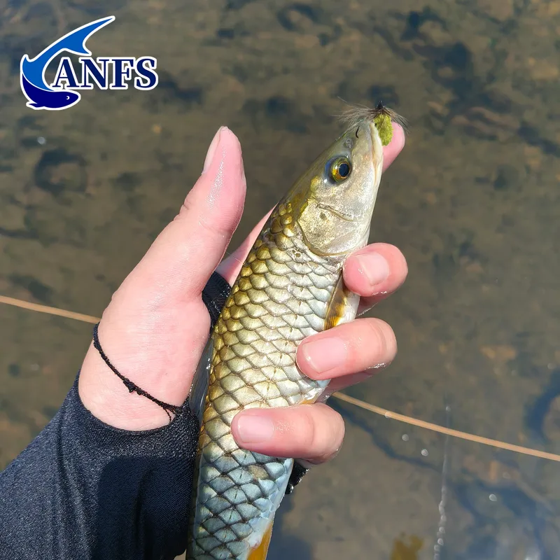 ANFS 10 szt. Muchy na mopy, ró – Fishing Hook Assortment recenzja i cena
